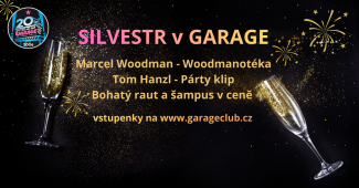 SILVESTR v GARAGE