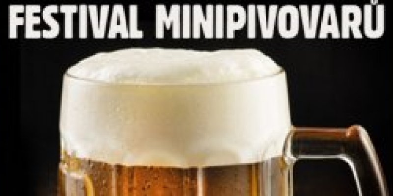 8.Festival minipivovarů